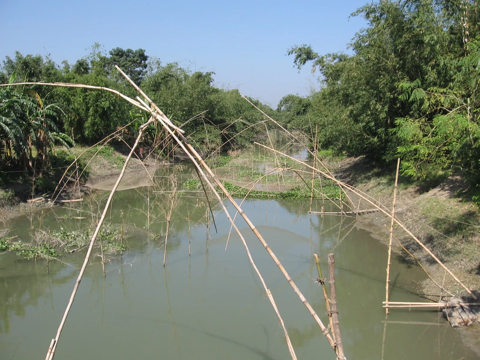 টাঙ্গাইলের লৌহজং নদী