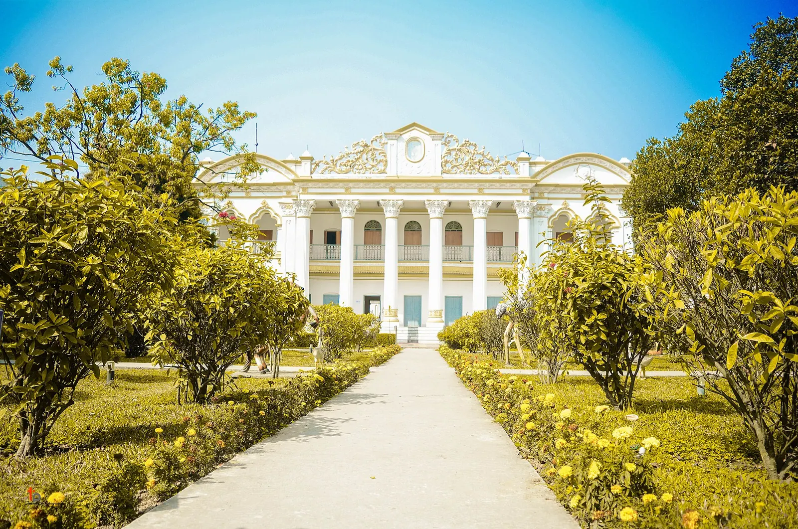 মহেড়া জমিদার বাড়ির বাগানের পথ