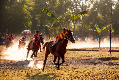 Traditional horse race on a harvested field at Sagardighi, Ghatail (Victory Day 2024)