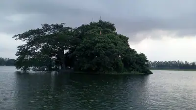 Jogir Gopa island in Gorilla beel near Hemnagar, Gopalpur