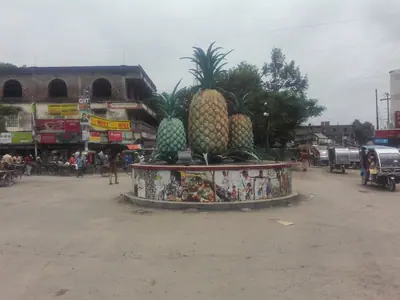 Pineapple roundabout at the centre of Madhupur town